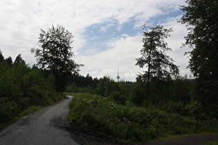 Blick zum Fernmeldeturm auf dem Großen Hals