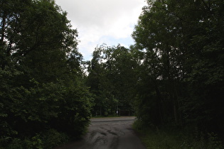 Blick vom Kammweg zur Passhöhe des Nienstedter Passes