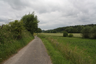 der Diemelradweg westlich von Warburg