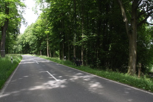 Sattelpunkt an der "Weine Buche" westlich von Rhoden