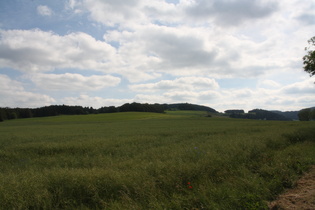 die Hohe Egge südlich von Ottlar