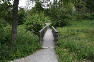 die erste Ruhrbrücke