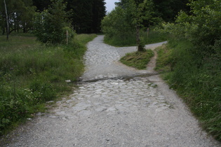 die Ruhr oberhalb der ersten Ruhrbrücke