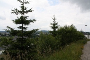 Winterberg, Blick zum Kahlen Asten