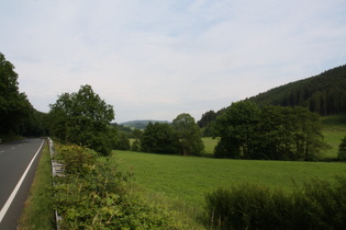 Lennetal zwischen Lenne und Saalhausen, Blick talaufwärts nach Osten