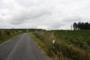 Brachter Höhe, Westrampe, Blick zur Passhöhe