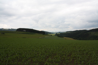 Blick nach Nordosten