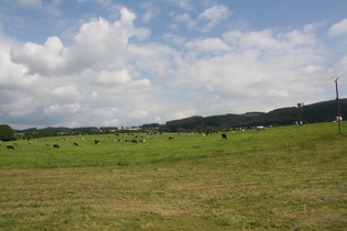 das R�hrtal zwischen Linnepe und Hellefeld, Blick talaufwärts