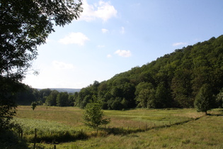 Abfahrt zwischen Hellefeld und Arnsberg, Hellefelder Bachtal, unterer Bereich