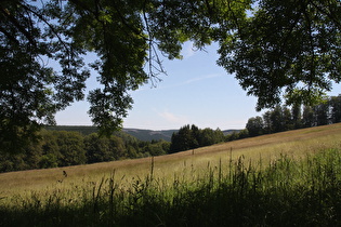 Steilstück zwischen Molkenhaus und Luisenbank, Blick nach Osten