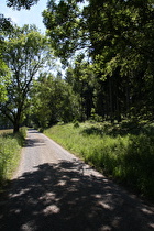 Steilstück zwischen Molkenhaus und Luisenbank, Blick über die Rampe bergauf