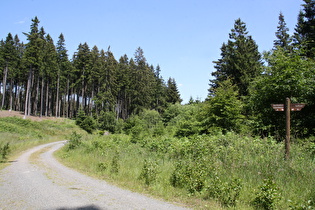 im Kolför, Blick nach Norden