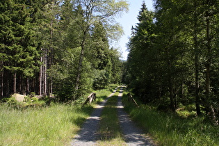 die Lorenzbrücke über die Abbe, Blick nach Süden