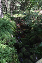 Blick flussabwärts