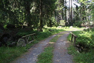 die Felsenbrücke über die Abbe, Blick nach Norden