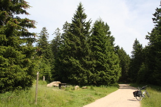 auf dem Quitschenberg, westlich der Zonengrenze