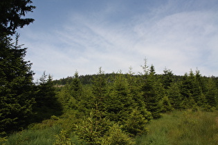 Blick vom Goetheweg östlich der Zonengrenze nach Nordosten