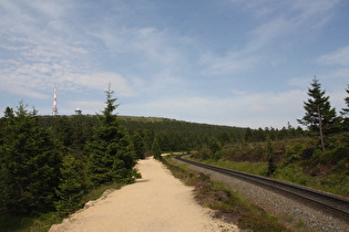 Goetheweg zwischen Eckerloch und Goethemoor, Blick zum Brockengipfel