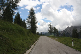 … und Blick nach Osten sowie Pflanzen am Straßenrand