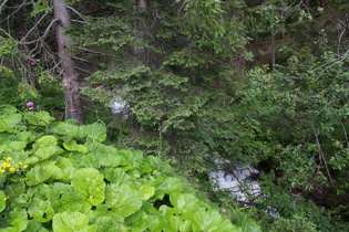 der Ansiei, Blick flussaufwärts