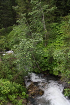 der Ansiei, Blick flussabwärts