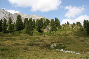 Blick nach Norden auf die montane Baumgrenze