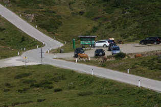 potentieller Gegenverkehr am Straßenrand