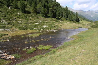 der Staller Almbach, Blick flussabwärts