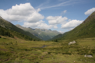 Blick über den Staller Almbach ins Defereggental