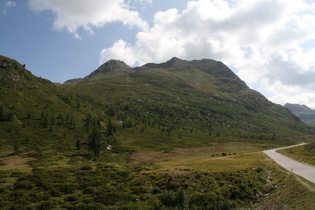 montane Baumgrenze und ein südlicher Zulauf zum Staller Almbach