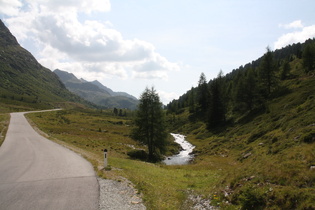 Staller Almbach, Blick flussaufwärts …