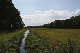 die Wietze nördlich von Hainhaus, Blick flussaufwärts