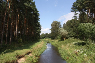 die Wietze nördlich von Hainhaus, Blick flussabwärts