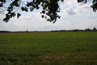 offenes Land nördlich von Hainhaus, Blick nach Süden