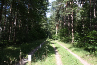 schlechte Wegstrecke zwischen Hainhaus und Fuhrberg