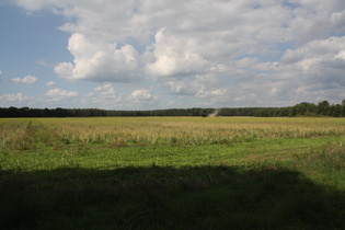 mitten im Nichts zwischen Fuhrberg und Hambüren …