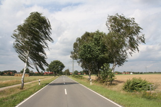 stürmischer Wind südlich von Garßen