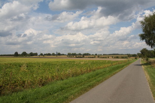 zwischen Habighorst und Scharnhorst, Blick nach Osten