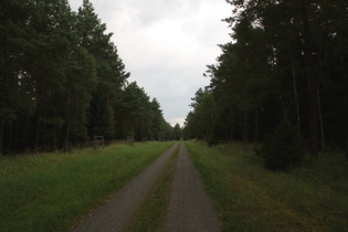 "Radfernweg Hannover-Lüneburg" östlich von Unterlüß