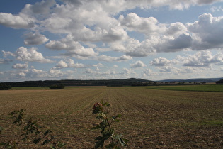 … nach Süden zum Benther Berg, …