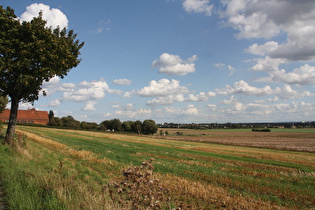 westlich knapp unterhalb Kollrothshöhe, Blick nach Südosten Richtung Harz