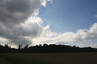 westlich von Wennigsen, Blick nach Nordwesten