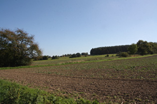 … und Blick nach Süden