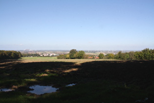 Blick vom Waldrand nach Nordosten