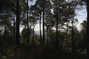 Rodenberger Höhe, Blick nach Südwesten, …