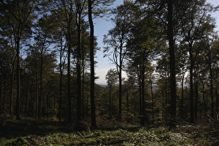 … und Blick nach Süden