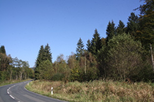 östlich von Seesen, Blick nach Westen