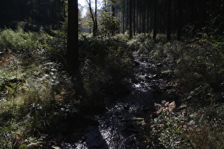 die Schildau, Blick flussaufwärts …