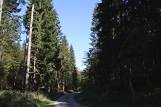 Schildautal, Blick flussabwärts