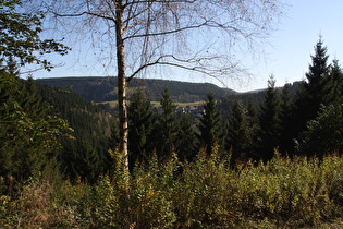 Blick über Wildemann nach Osten